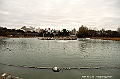 ueno park 50